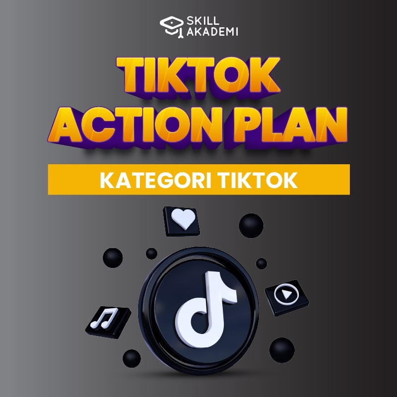 TikTok Action Plan